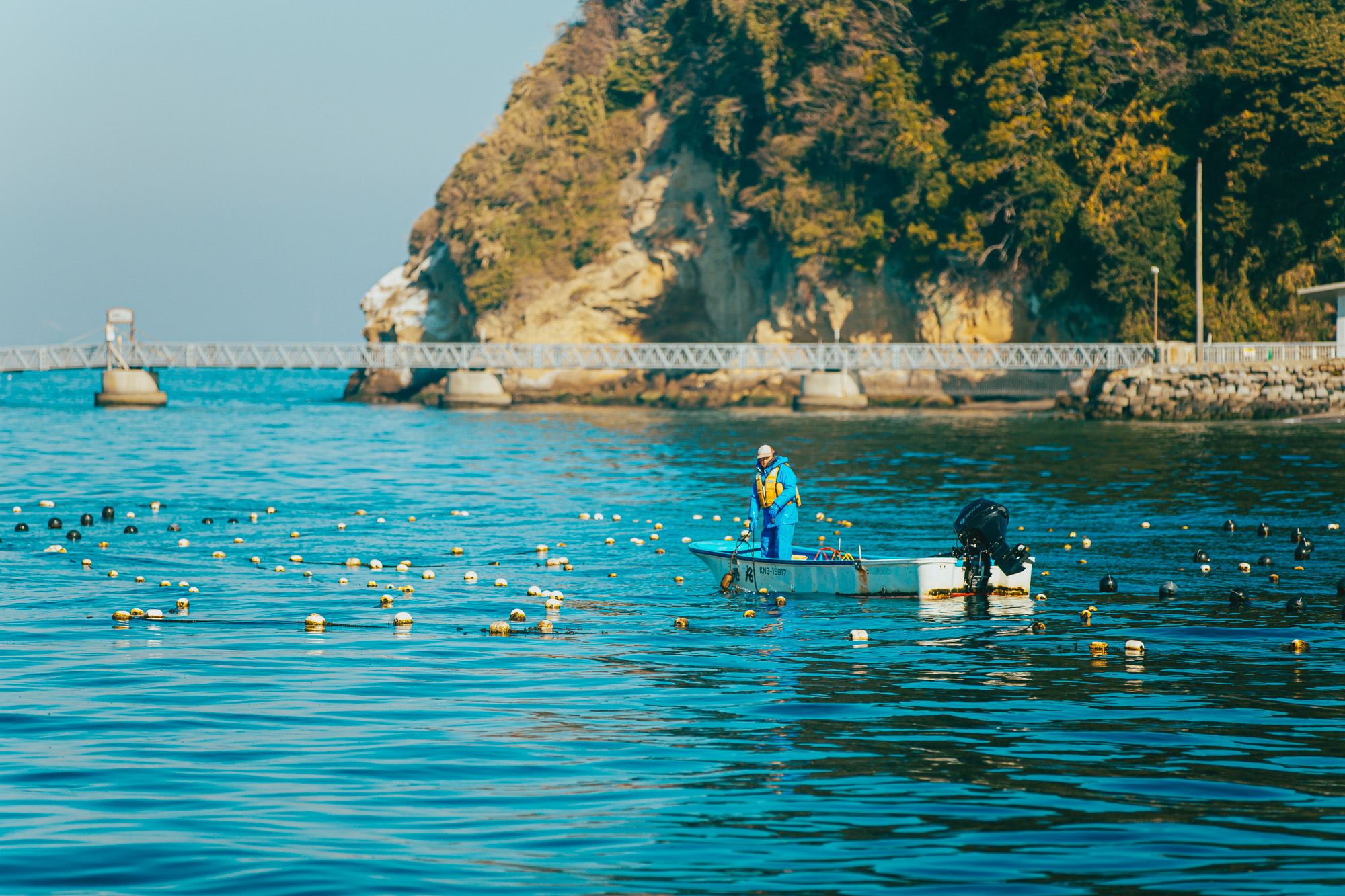 【猿島わかめが世界を救う！？】ブルーカーボンクエストツアーを開催しました！【海の博物館2022】